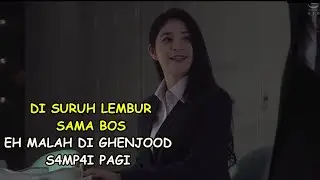 lembur kerja di genjot bos nya sampai pagi | Alur Cerita Film