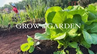 Grow Vegetables without Raised Beds, Sheet Mulching Tutorial