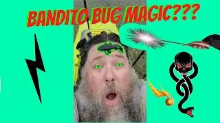 Fishing Googan BANDITO BUG like a FROG??  I bought my DREAM TRUCK!