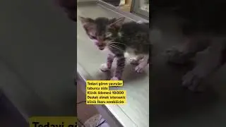 Faturası videonun sonunda var klinik desteğine ihtiyaç var #iyilikyapaniyilikbulur