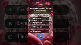 Anatomy Quiz - 7 I General Knowledge I #shorts #youtubeshorts #shortsfeed #gk #spedutech