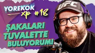 YOREKOK XP #18 - BERK SEVGİ