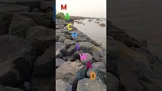 Machiwad Beach#youtubeshorts #viral #video