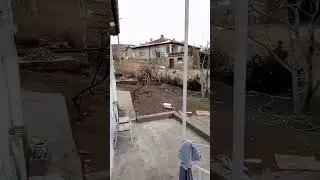 günaydın bayanlar baylar