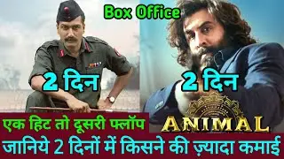 Animal Box Office Collection | Sam Bahadur Box Office Collection | Animal Vs Sam Bahadur Box Office