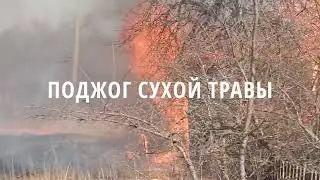 Пал сухой травы опасен!_Соликамское ТВ