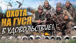 Охота на гуся в Удовольствие!