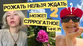 Мое материнство без детей, 2. Говорю со специалистом по суррогатному материнству