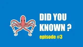Did You Know: episode #3