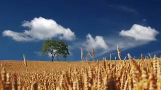 🎶Balgarska idilia🧘Meditation music☀️Peter Deunov🇧🇬Българска идилия