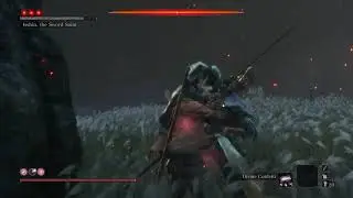 Sekiro - Sword Saint Isshin (Near-Perfect Fight)