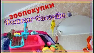 Pool with fountain for parrot. Review of pet purchases for budgies. Pet shop Zoo purchases