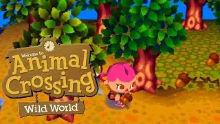 Animal Crossing: Wild World - The Acorn Festival Begins! 🍂