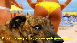 Смешные фото на море!