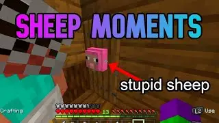 Minecraft Sheep Moments