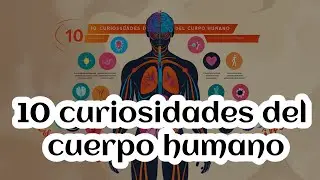 10 curiosidades del cuerpo humano