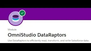 OmniStudio DataRaptors Trailhead Answers #23 
