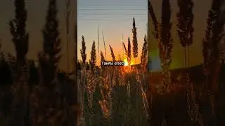 Таңғы елес - Маржан Әптербек
