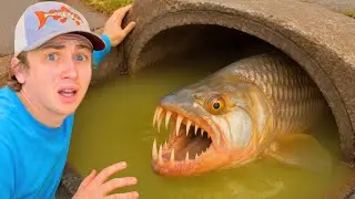 I Found a Sewer FILLED with Monster Alien Fish!