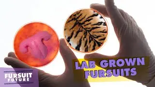 Can you GROW a Fursuit? | Fursuit Future Part 2