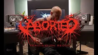 Aborted - Termination Redux (Guitar Cover)