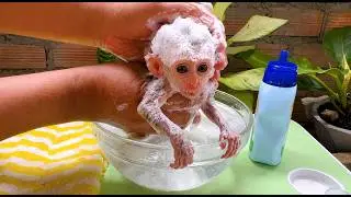 Baby monkey wakes up | Takes a gentle bath | Play with toys | Sleep in cozy blanket 💛💛
