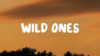 Jessie Murph - Wild Ones (Lyrics) ft. Jelly Roll