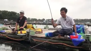GURUTEN DANGO - a bait even beginners can catch fish with