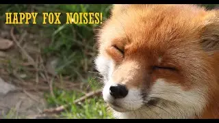 1 HUNDO SUBS!?!?!?