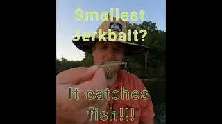 This Tiny Micro Jerkbait Catches Fish on Pickwick!!! The Creek Life Lure Company Moon Shiner