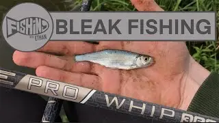 Drennan Acolyte Pro Whip - Bleak Fishing