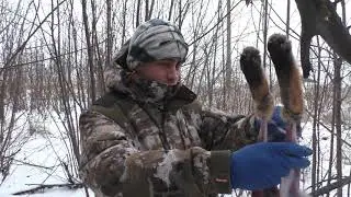 Быстрое и качественное шкурение лисы в полевых условиях. Skinning a fox in the field.(18+)