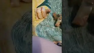Практическая магия. Одержимая бесами. Таро расклад.