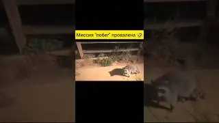 Миссия 