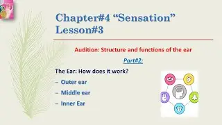 Audition: Structure and function of ear | in Urdu/Hindi language | by Dear Knowledge