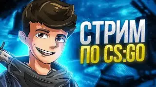 РОЗЫГРЫШИ СКИНОВ + CSFAIL / Стрим по CS:GO / Катки с подписчиками / КС ВСЮ НЕДЕЛЮ😎🔥