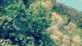وهي طريقنا ع أم طيور بلاذقية