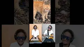 Go London 😂😂cat song 