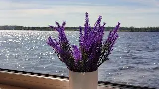 volga voyage