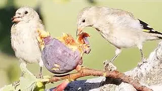 تعلم من الطبيعة أخي المربي...🧑‍🎓