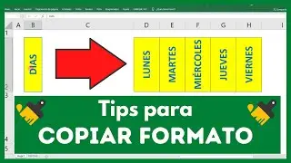 BASIC TIPS AND TRICKS FOR COPYING FORMAT IN EXCEL