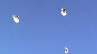 Голуби молодеж получилось как получилось