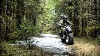 Старое урочище не подвело! 