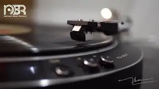 Greatest Audiophile Playlist - Hi Res Music Audiophile - Natural Beat Records