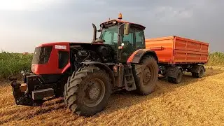 Уборка урожая 2021 Потребовалась помощь!!!