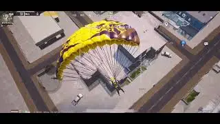IMG 1342