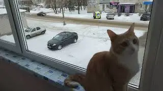 Ремонт лоджии своими силами/ НЕ ОБУЧАЮ/ ПОКАЗЫВАЮ ТОЛЬКО КАКИЕ БЫЛИ ЭТАПЫ