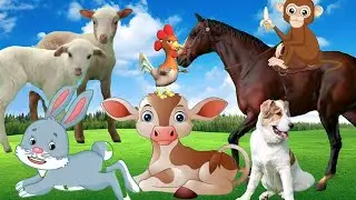 cute animal moments -horses, dogs, cows, cats, ducks, rabbits, chickens