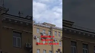 Виды Москвы и девичье кокетство 