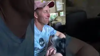 Overjoyed Dog's Reunion || PETASTIC 🐾